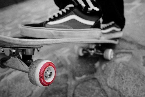 skateboard in vans