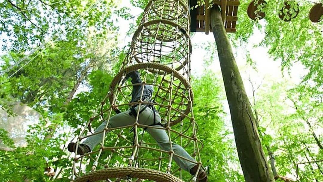 Un Accrobranche Débarque Bientôt Sur L'île De Nantes ! – Big City Life