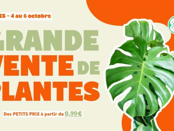 Grande vente de plantes