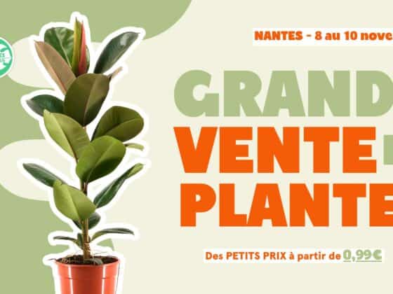 Grande Vente de plantes