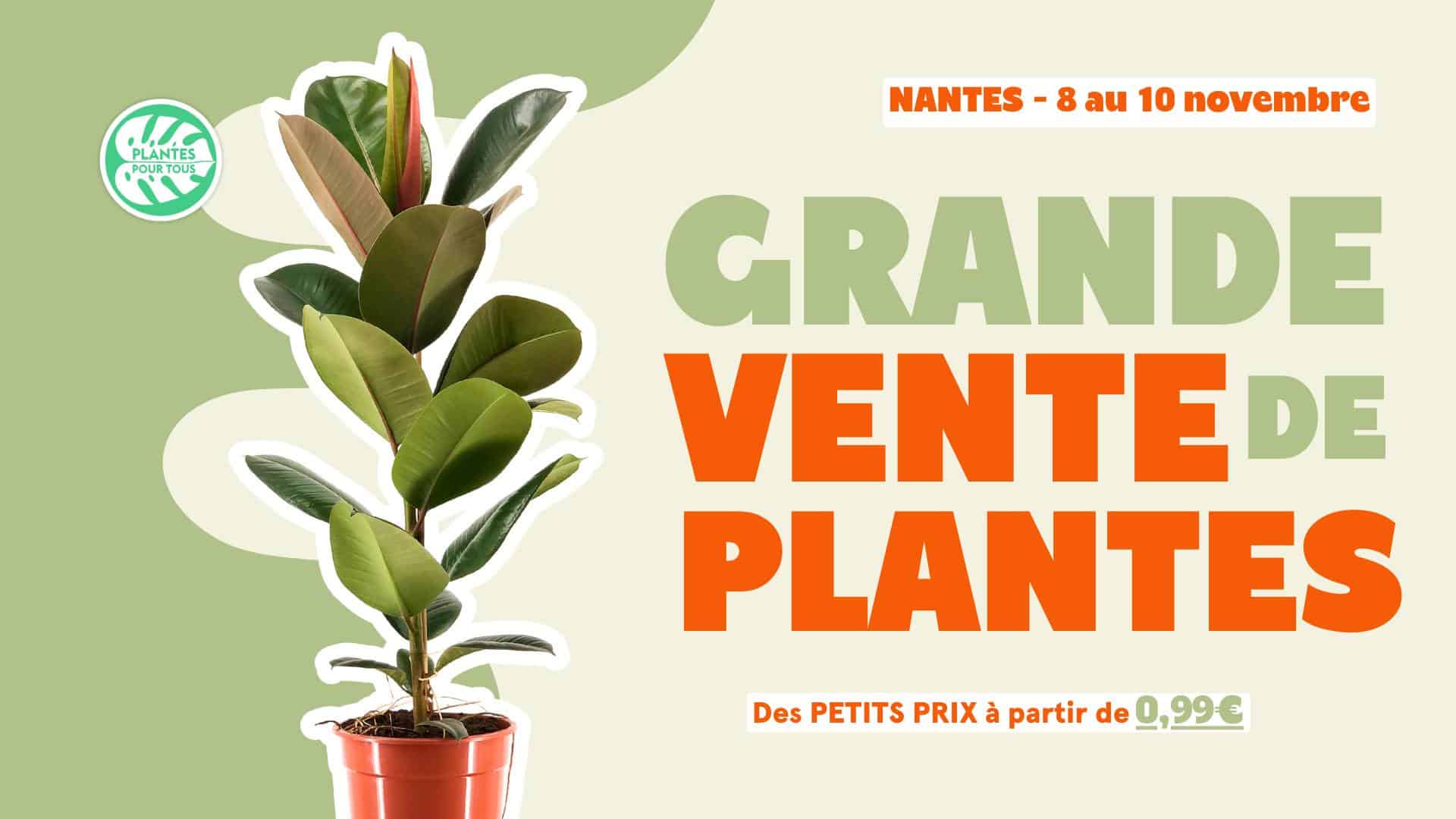 Grande Vente de plantes