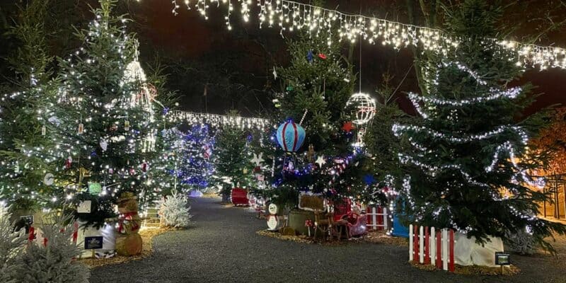 sortie Noël à côté de nantes